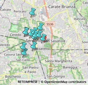 Mappa Via Monte Santo, 20831 Seregno MB, Italia (1.37)