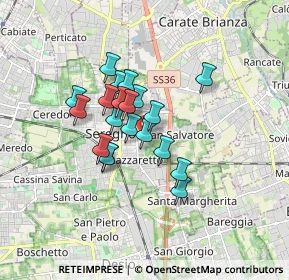 Mappa Via Monte Santo, 20831 Seregno MB, Italia (1.221)