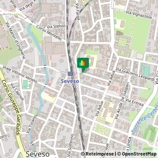 Via Giovanni Fantoni, 13,20822Seveso