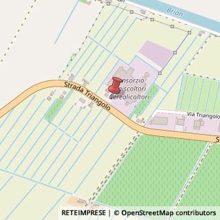 Mappa Via Triangolo, 12, 30021 Caorle, Venezia (Veneto)