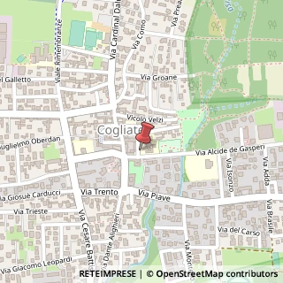 Mappa Via Rovelli, 4, 20815 Cogliate, Monza e Brianza (Lombardia)
