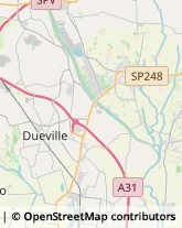 Uccelli Dueville,36031Vicenza