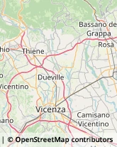 Uccelli Vicenza,36100Vicenza