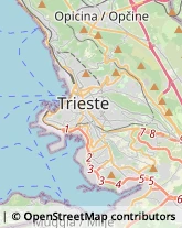 Serramenti ed Infissi, Portoni, Cancelli Trieste,34127Trieste