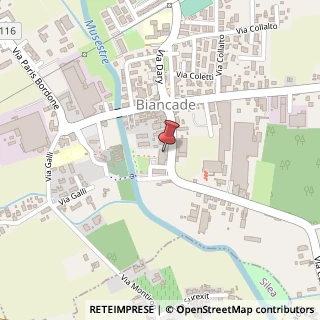 Mappa Via G. D'Annunzio, 72, 31056 Roncade, Treviso (Veneto)