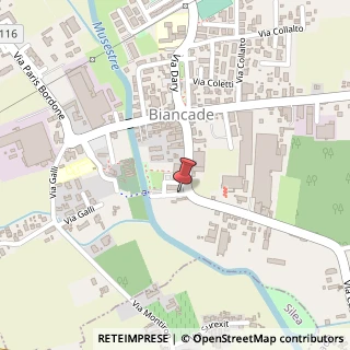Mappa Via Villa dal Peder, 8, 31056 Roncade, Treviso (Veneto)