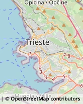 Serramenti ed Infissi, Portoni, Cancelli Trieste,34133Trieste