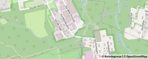 Mappa Cogliate