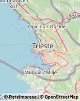 Locali, Birrerie e Pub Trieste,34137Trieste