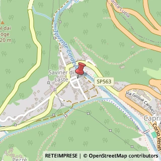 Mappa Località Saviner di Laste,  26, 32020 Rocca Pietore, Belluno (Veneto)