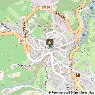 Regione e Servizi Regionali Fondo,38013Trento