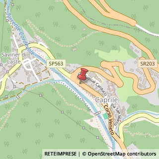 Mappa Corso Veneto, 49, 32022 Alleghe, Belluno (Veneto)