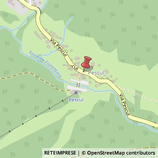 Mappa Via Pescul, 101, 32020 Selva di Cadore, Belluno (Veneto)