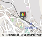 Equitazione - Impianti e Corsi Catanzaro,88100Catanzaro
