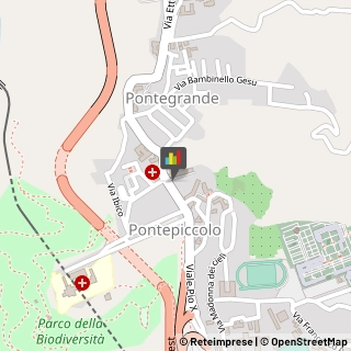 Autolinee,88100Catanzaro