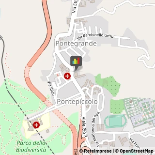 Articoli per Ortopedia,88100Catanzaro