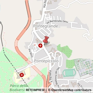 Mappa Viale Pio X, 214, 88100 Catanzaro, Catanzaro (Calabria)