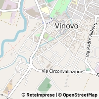 Map Vinovo