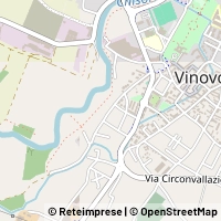 Map Vinovo