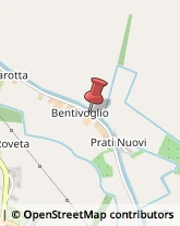 Via Cavo Bentivoglio, 768,45039Stienta