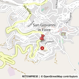 Mappa Via Vallone, n. 221, 87055 San Giovanni in Fiore, Cosenza (Calabria)