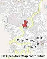 Via Fra Giuseppe, 43,87055San Giovanni in Fiore