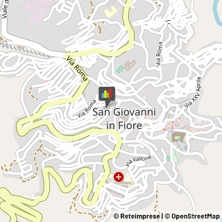 Geometri San Giovanni in Fiore,87055Cosenza