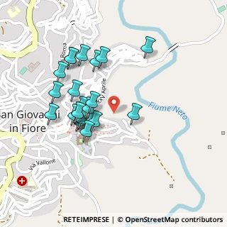 Mappa Via Abbazia dei Tre Fanciulli, 87055 San Giovanni in Fiore CS, Italia (0.21739)