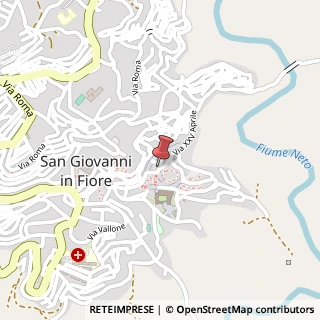 Mappa Piazza Gioacchino Abate, 45, 87055 San Giovanni in Fiore, Cosenza (Calabria)