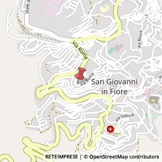 Mappa Via Roma, 116, 87055 San Giovanni in Fiore, Cosenza (Calabria)