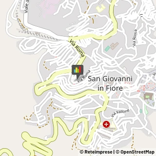 Ricami - Ingrosso e Produzione San Giovanni in Fiore,87055Cosenza