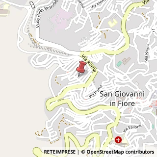 Mappa Via dei Giudicati, 22, 87055 San Giovanni in Fiore, Cosenza (Calabria)