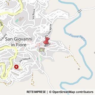 Mappa Via Cognale, 167, 87055 San Giovanni in Fiore, Cosenza (Calabria)