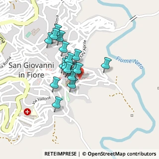 Mappa Via Cognale, 87055 San Giovanni in Fiore CS, Italia (0.15714)