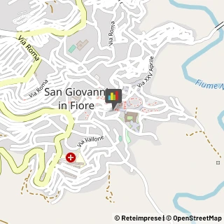 Ristoranti San Giovanni in Fiore,87055Cosenza