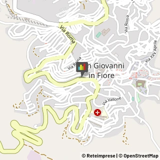 Assicurazioni San Giovanni in Fiore,87055Cosenza