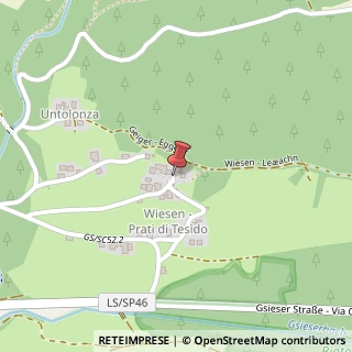 Mappa Wiese, 39035 Monguelfo-Tesido, Bolzano (Trentino-Alto Adige)