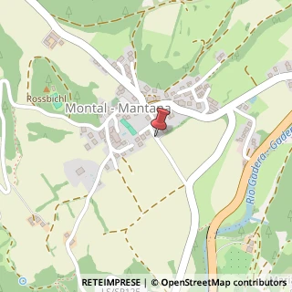 Mappa Frazione Mantana,  33, 39030 San Lorenzo di Sebato, Bolzano (Trentino-Alto Adige)