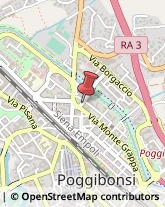 Largo Usilia, 31,53036Poggibonsi