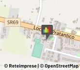 Palestre e Centri Fitness,52100Arezzo