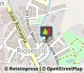 Asili Nido Città di Castello,06012Perugia