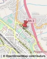 Piazza Giorgio la Pira, 17,53036Poggibonsi