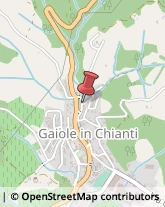 Via Roma, 52,53013Gaiole in Chianti