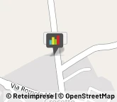 Palestre e Centri Fitness,60022Ancona