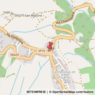 Mappa Via Fiorentina, 6, 53011 Castellina in Chianti, Siena (Toscana)