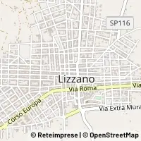 Map Lizzano