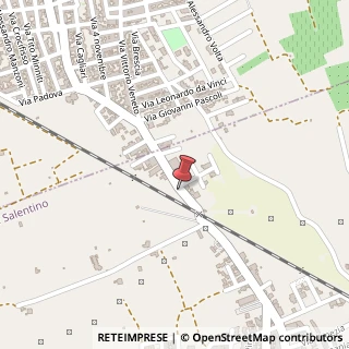 Mappa Via provinciale 101, 73010 Salice Salentino, Lecce (Puglia)