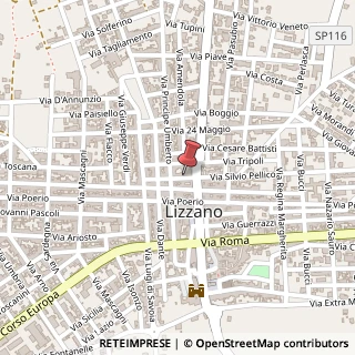 Mappa Via Silvio Pellico, 25, 74020 Lizzano, Taranto (Puglia)