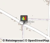 Animali Domestici - Toeletta Taranto,74122Taranto