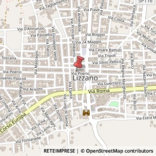Mappa Via Carlo Poerio, 169, 74020 Lizzano, Taranto (Puglia)